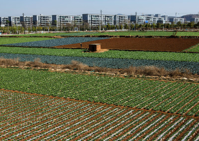 Megablock developments slowly encroach on farming villages in the Chenggong New District. - Kunming, China