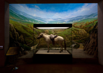 Mao’s stuffed pony stands on display in a diorama at the Yan’an Revolutionary Memorial Museum. - Yan’an, Shaanxi