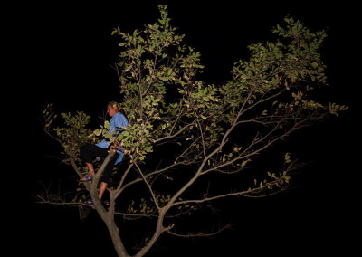 Man and nature combine as Chinese spectators take to the trees.