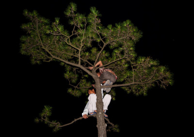 Man and nature combine as Chinese spectators take to the trees.